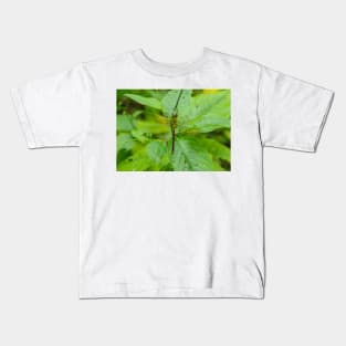 Giant Dragonfly Kids T-Shirt